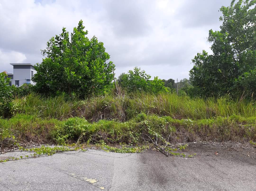 FB_IMG_1642867533769