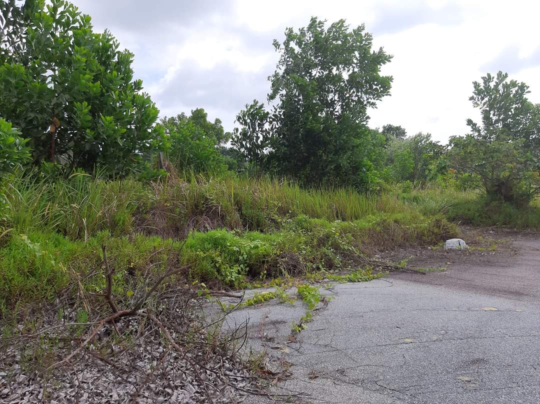 FB_IMG_1642867544239