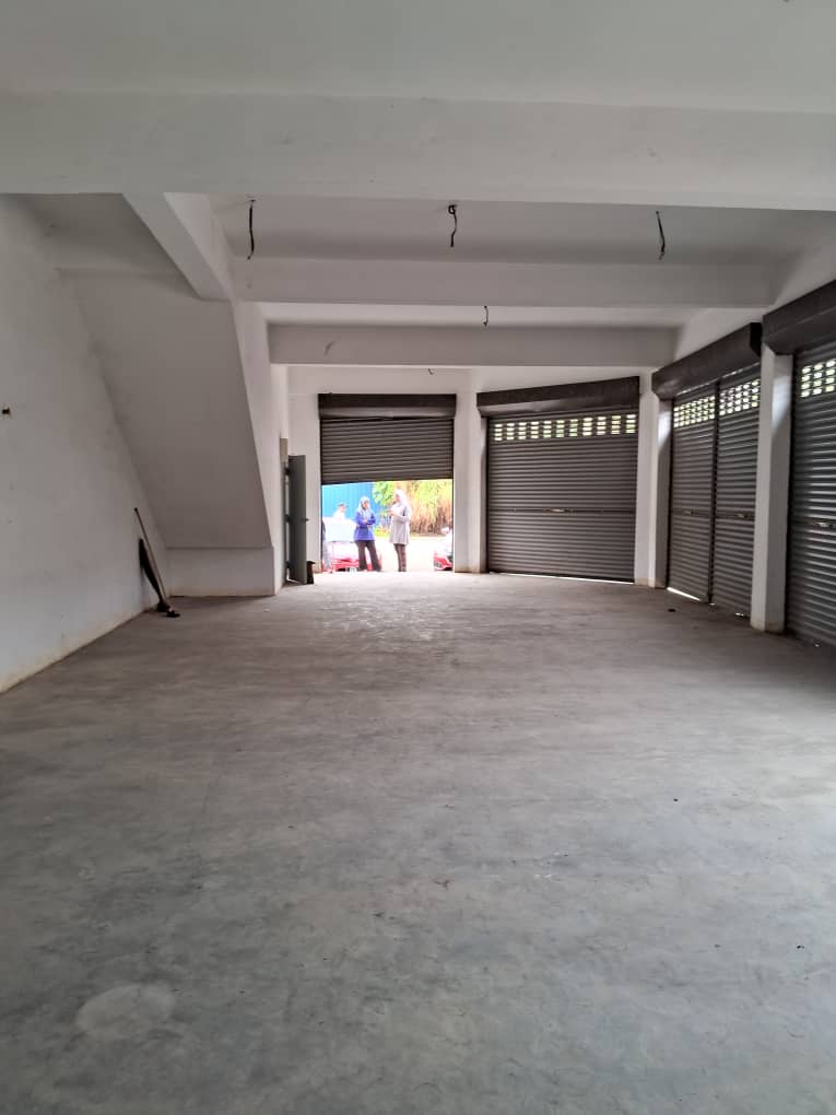 WhatsApp Image 2024-11-14 at 12.03.39 PM